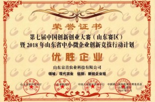 京青科技获第七届中国创新创业大赛暨山东省中小微企业创新竞技行动计划优胜企业