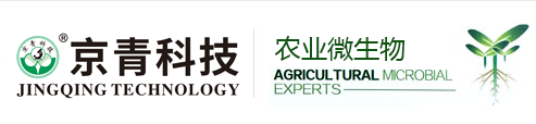 山东京青农业科技有限公司